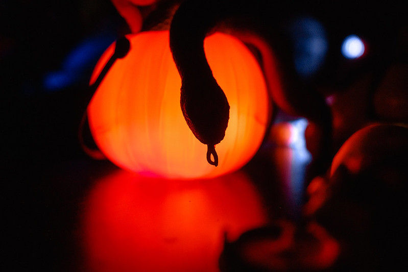 Украшение дома паутиной и летучими мышами к Хэллоуину в generalCities.Сургуте